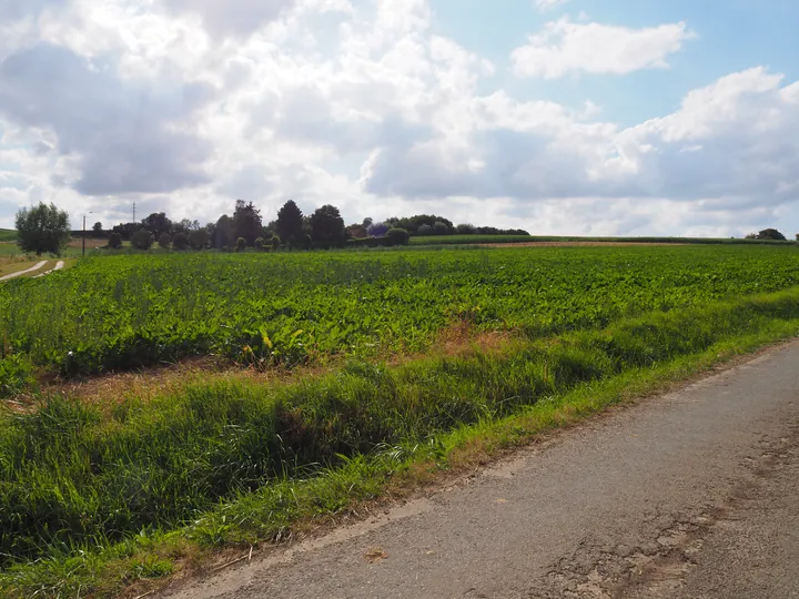 Kwaremont (Belgium)